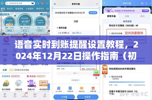 語(yǔ)音實(shí)時(shí)到賬提醒設(shè)置教程，初學(xué)者與進(jìn)階用戶(hù)操作指南（附日期，2024年12月22日）