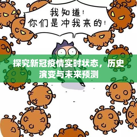 新冠疫情實(shí)時(shí)狀態(tài)、歷史演變與未來預(yù)測探究