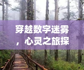 穿越數(shù)字迷霧，探尋自然美景下的CPU頻率與心靈平靜歲月