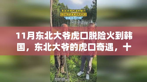 东北大爷虎口脱险故事火遍韩国，跨越国界的友情与暖心之旅