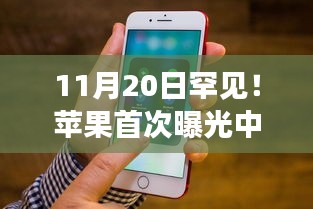 苹果首次公开中国开发者收入，励志故事背后的技术之光与梦想成真之路