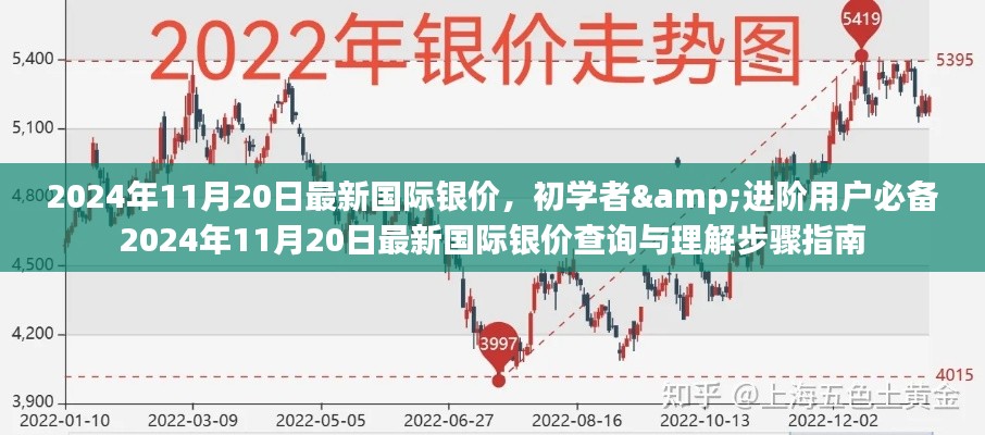 初学者与进阶用户必备指南，最新国际银价查询与理解步骤（2024年11月20日版）