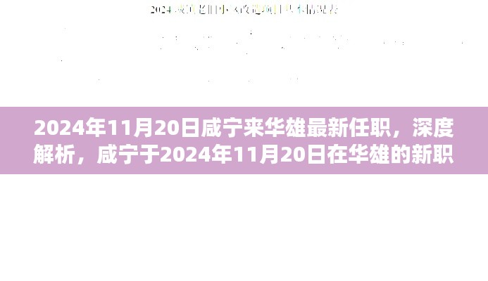 咸宁于华雄新职务揭秘，竞品对比与目标用户群体深度解析