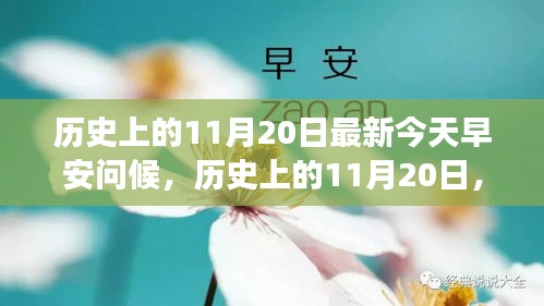 历史上的11月20日深度解读与今日早安问候新视角