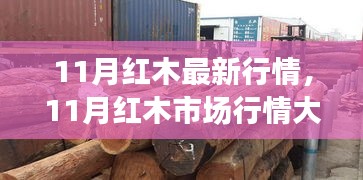 11月红木市场行情深度解析，最新动态与未来趋势展望