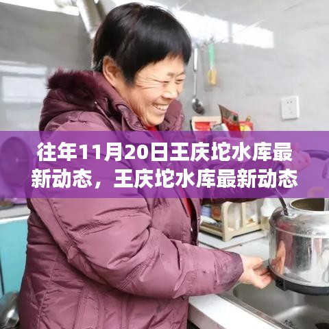 往年11月20日王庆坨水库深度观察与最新动态评测报告