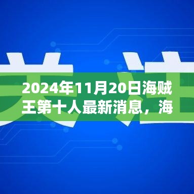 海贼王第十人最新动态揭秘，海洋秘密与友情的纽带在2024年11月20日的新进展