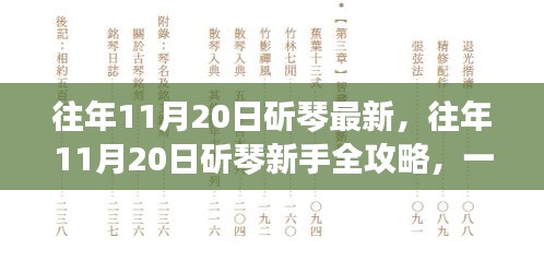 11月20日斫琴指南，从新手到完美古琴制作的全方位攻略