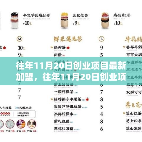 探寻最佳投资机遇，历年11月20日创业项目加盟新动向与加盟机遇解析