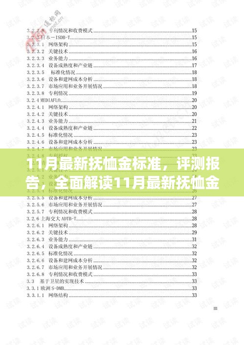 全面解读，11月最新抚恤金标准评测报告及标准详解