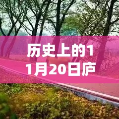 庐江东方都市房价查询指南，揭秘历史房价走势与最新房价信息（详细步骤指南）