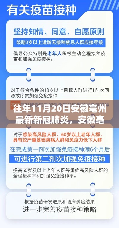 安徽亳州最新新冠肺炎防控指南，步骤详解，轻松掌握防疫知识（初学者版）