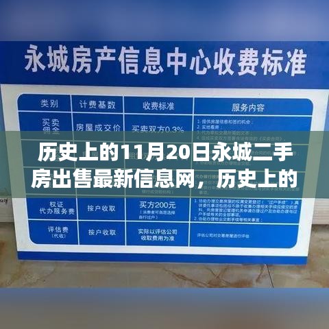 案例展示 第215页