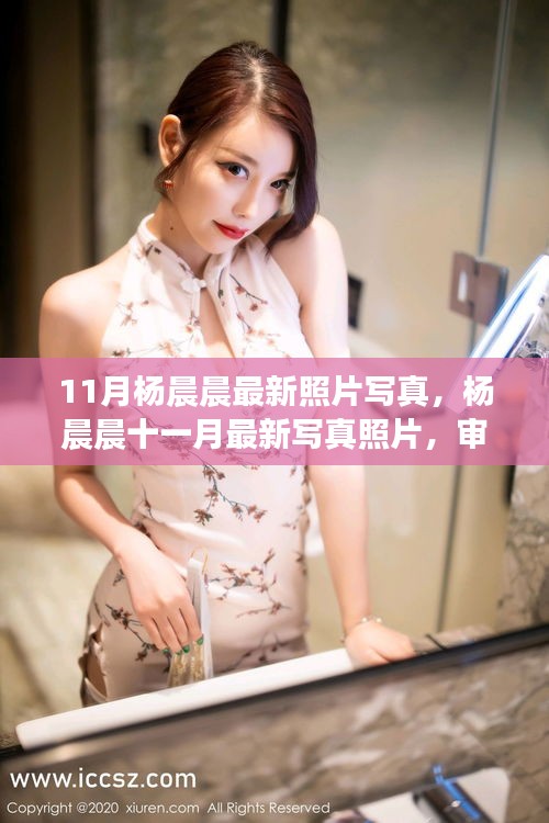 杨晨晨最新写真十一月风采，审美趋势与个人表达的碰撞