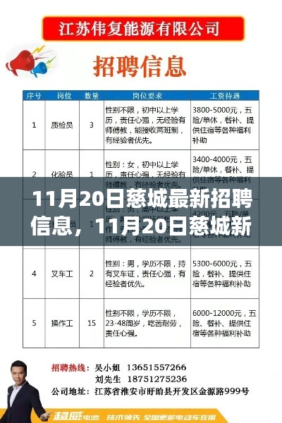 11月20日慈城招聘信息更新，新机遇引领学习变革，自信人生之旅启程