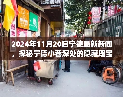 探秘宁德小巷深处的隐藏瑰宝，特色小店惊喜之旅（最新更新，2024年11月20日）