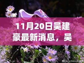 揭秘吴建豪最新动态，事业进展与生活更新，11月20日最新消息速递