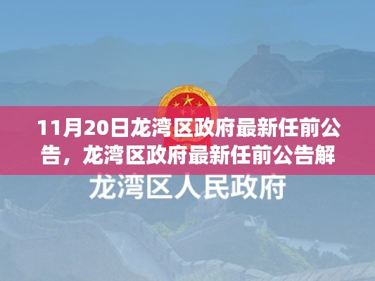 龙湾区政府最新任前公告解读及观点探析