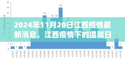 江西疫情下的温馨日常，爱的传递与陪伴的故事（最新消息）