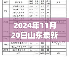 重磅更新！2024年11月20日山东最新外省入鲁政策详解，你我都需知晓