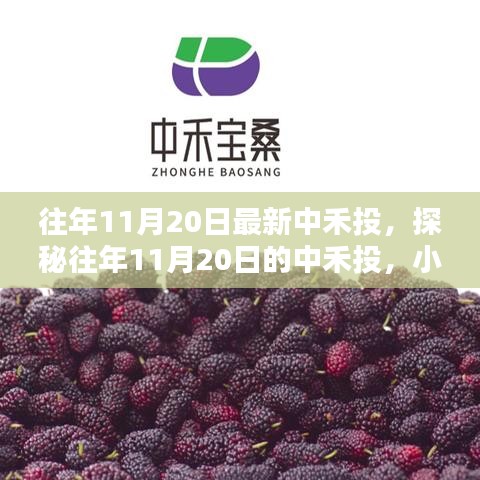 新闻资讯 第243页