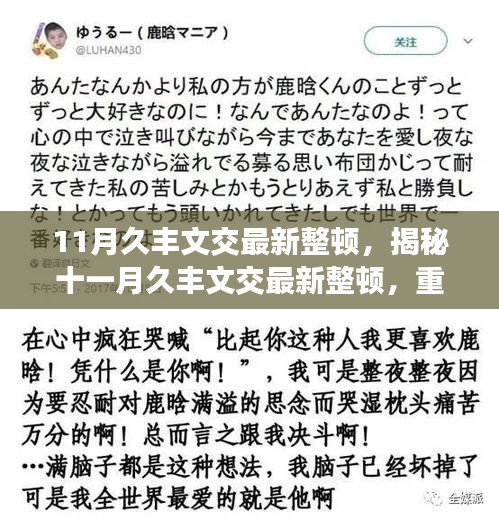 揭秘，十一月久丰文交最新整顿重塑文化交流繁荣秩序