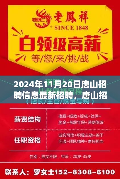 2024年11月20日唐山最新招聘信息，职场新篇章与盛放之花