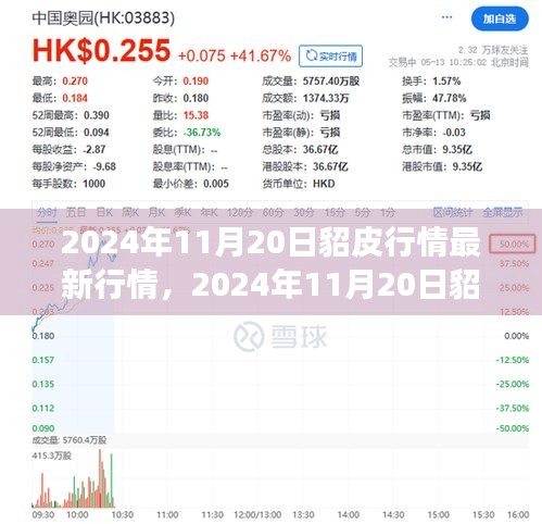 2024年11月20日貂皮行情深度分析，市场最新动态与趋势预测