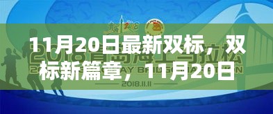 11月20日最新双标产品深度评测与介绍，开启双标新篇章