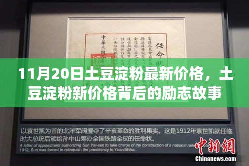 土豆淀粉新价格背后的励志故事，学习、自信与成就感的闪耀之旅