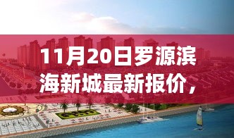 11月20日罗源滨海新城房产最新报价及投资热点与前景深度解析