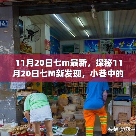 探秘11月20日七M新发现，小巷中的独特风味小店揭秘