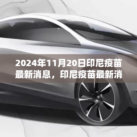 2024年11月20日印尼疫苗最新消息及接种指南全解析