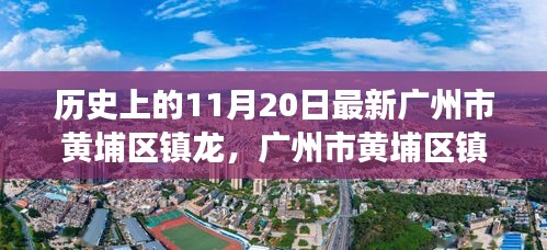 广州市黄埔区镇龙项目深度解读与竞品分析，最新评测报告出炉