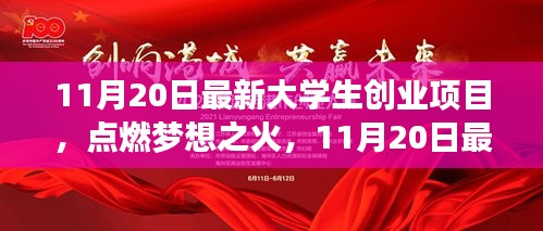 最新大学生创业项目点燃梦想之火，崛起之路与学习带来的自信与成就感