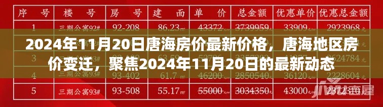 2024年11月20日唐海房价最新价格，唐海地区房价变迁，聚焦2024年11月20日的最新动态