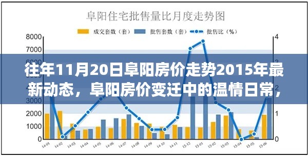 阜阳房价变迁回顾，历年11月20日的温情日常与最新动态