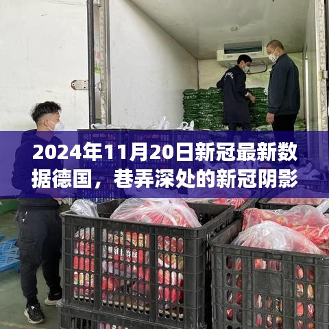 德国新冠疫情最新数据，巷弄深处小店的挑战与故事，2024年11月20日观察