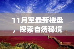 11月最新楼盘奇妙之旅，自然秘境探索与内心宁静的邂逅