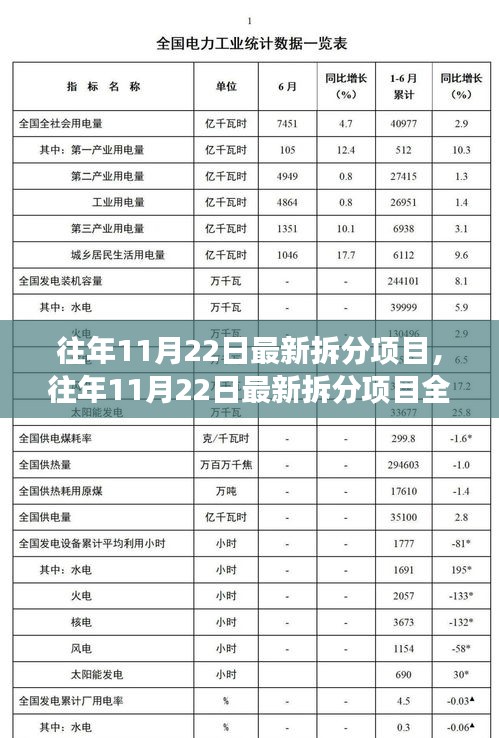 往年11月22日最新拆分项目深度解析，洞悉动向，引领未来发展趋势