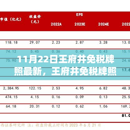 王府井免税牌照最新进展深度解析，特性、用户体验与目标用户分析