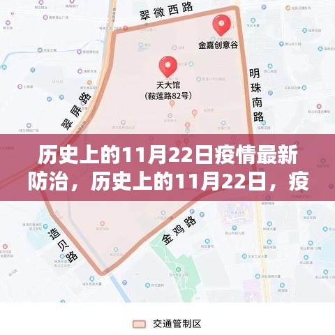 历史上的11月22日疫情防治观点深度探析与最新进展