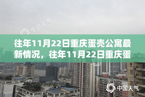 往年11月22日重庆蛋壳公寓最新动态解析，洞悉公寓最新情况与发展趋势