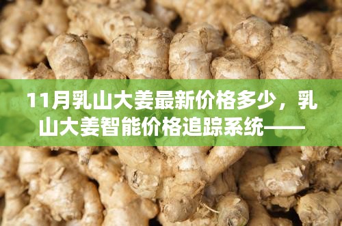 科技引领生活，乳山大姜实时价格追踪系统——最新姜价动态尽在掌握