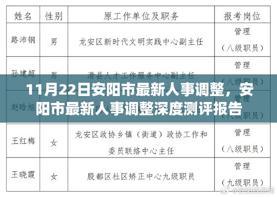 安阳市最新人事调整深度解读与测评报告