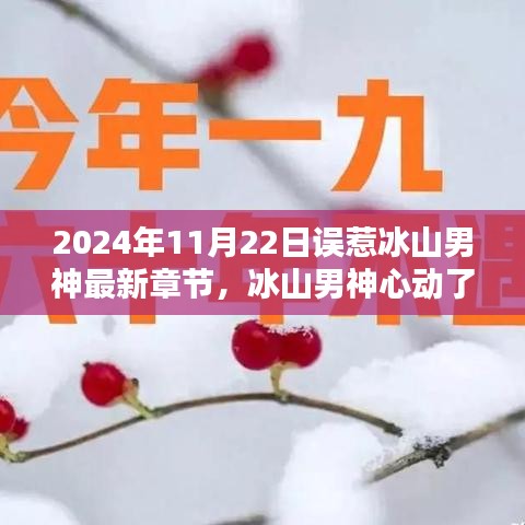 冰山男神心动了，误惹情缘最新篇章深度解析（2024年11月22日更新）