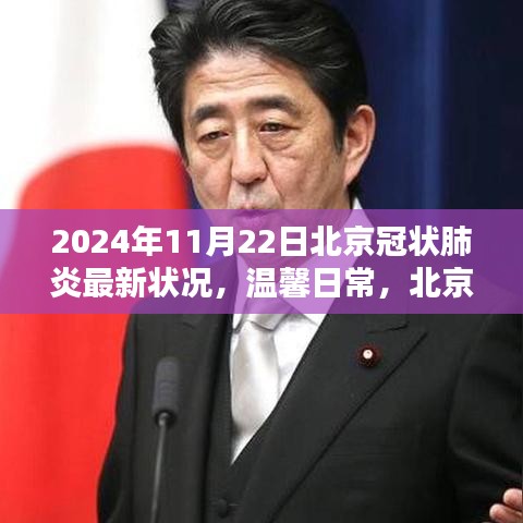 北京冠状肺炎最新状况，特殊一天下的温馨日常（2024年11月22日）