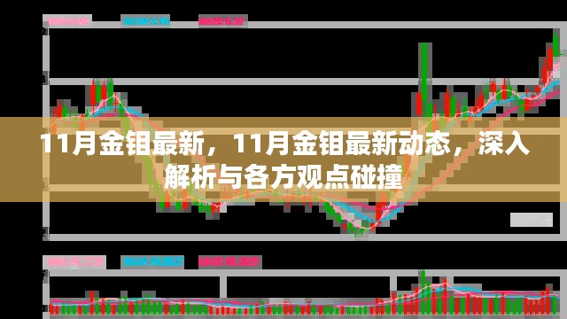 11月金钼最新动态深度解析与多方观点碰撞