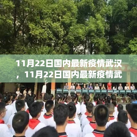 11月22日武汉疫情观察，多方观点下的深度解析与个人立场