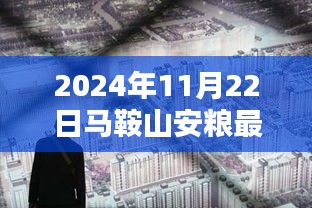 揭秘马鞍山安粮最新房价与隐藏小巷的独特风情，一家特色小店的奇妙邂逅之旅